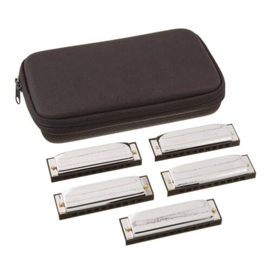 Amazon.com: Hohner Special 20 5-Piece Harmonica Bundle with Case